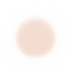 Face Temptu Perfect Canvas Hydra Lock Airpod Foundation