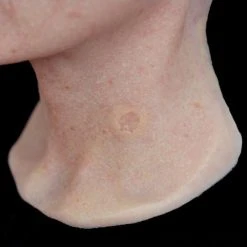 Out Of Kit Healed Bullet Hole Scar 1 Special FX