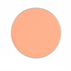 Ben Nye Neutralizer And Concealer Refill 24 Ben Nye Neutralizer And Concealer Refill