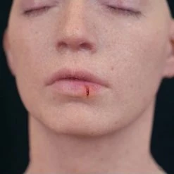 Out Of Kit Split Lip