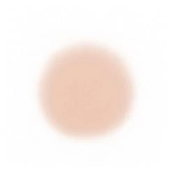 Face Temptu Perfect Canvas Hydra Lock Airpod Foundation