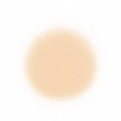 Face Temptu Perfect Canvas Hydra Lock Airpod Foundation