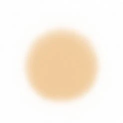 Face Temptu Perfect Canvas Hydra Lock Airpod Foundation