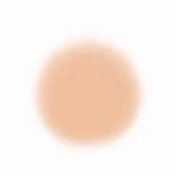 Face Temptu Perfect Canvas Hydra Lock Airpod Foundation