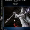 Stan Winston Studio Fantasy Maquette Sculpting In CX5(s) (DVD)