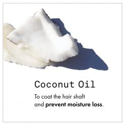 Fekkai Clean Stylers Prime Mist New