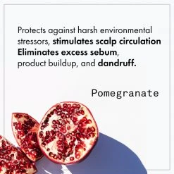 Fekkai Apple Cider Detox Detangling Rinse New