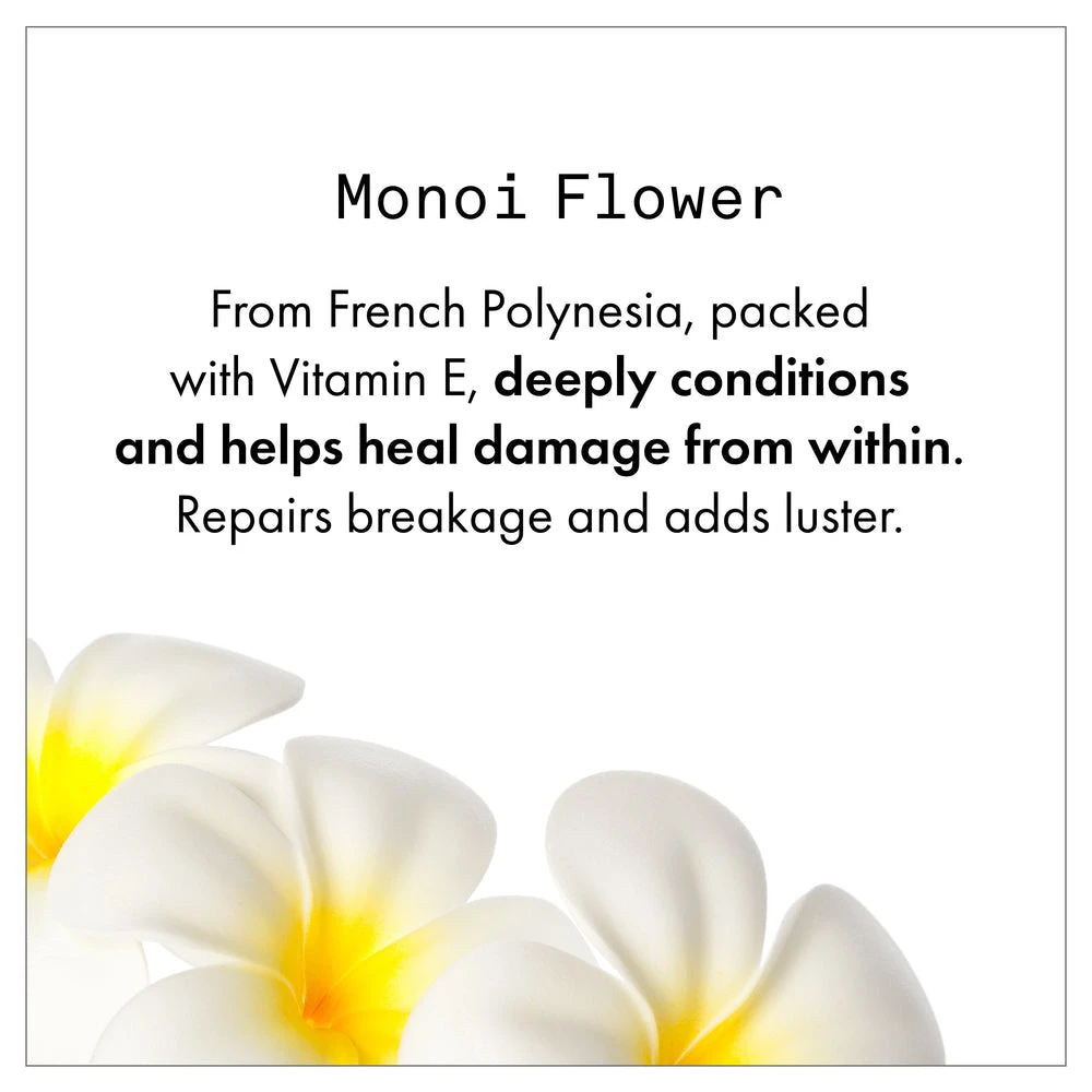 Fekkai Shea Butter Conditioner New 4 Fekkai Shea Butter Conditioner New