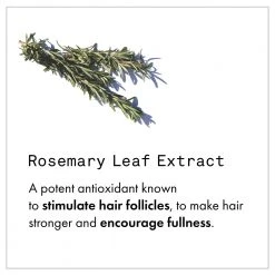 Fekkai Full Blown Volume Dry Texturizing Spray New 12 Fekkai Full Blown Volume Dry Texturizing Spray New