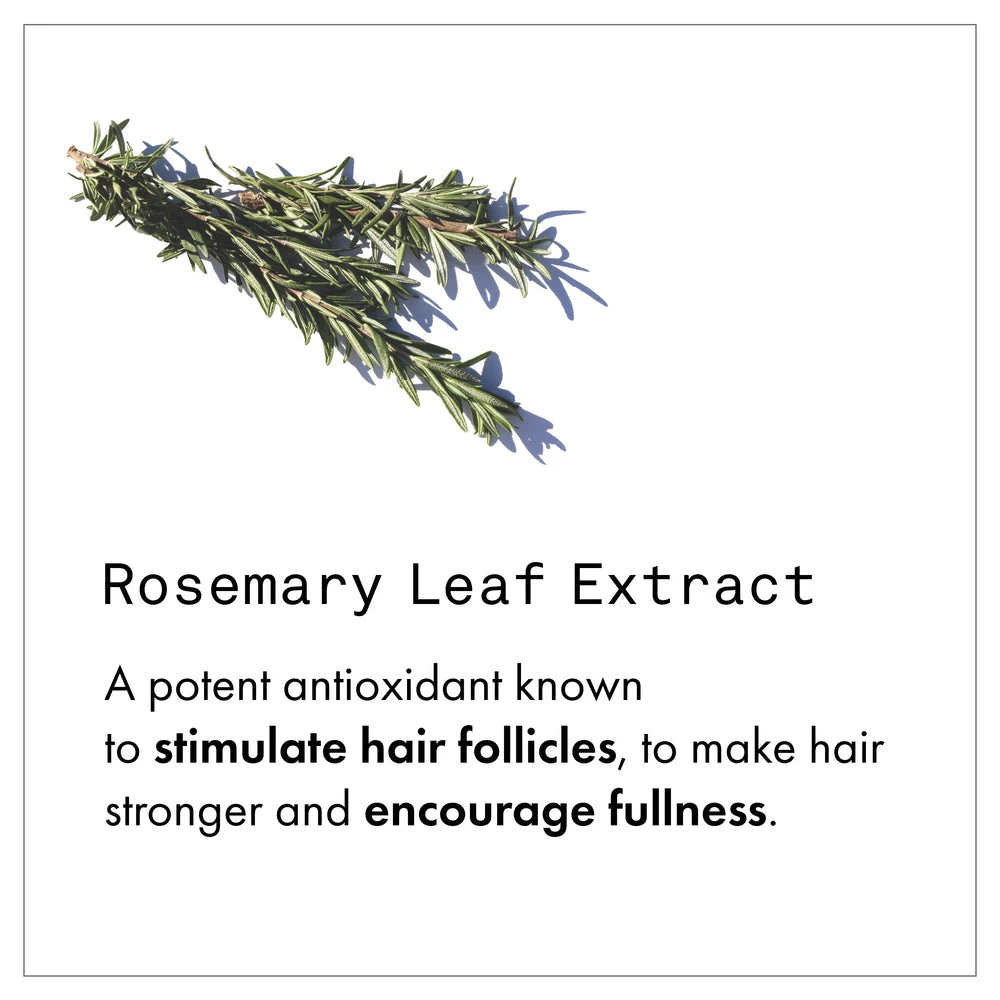 Fekkai Full Blown Volume Dry Texturizing Spray New 5 Fekkai Full Blown Volume Dry Texturizing Spray New