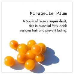 Fekkai Technician Color Conditioner