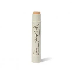 Jillian Dempsey Spot Stick Concealer New