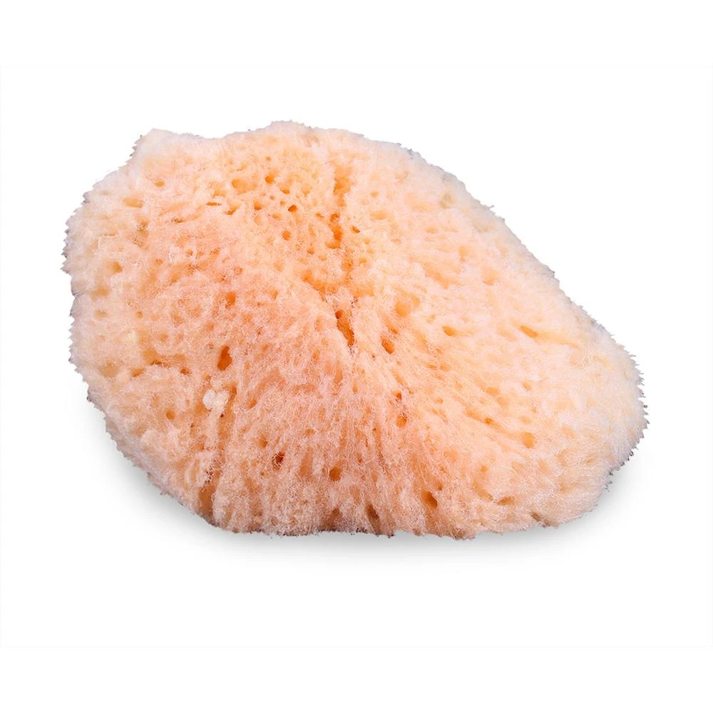 Mehron Natural Sea Sponge Applicator 1 Mehron Natural Sea Sponge Applicator