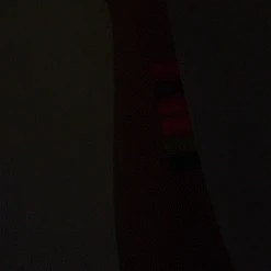 Danessa Myricks Beauty ColorFix Neon