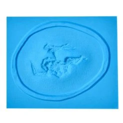 Prosthetic Transfer Material Kits & Tools P.T.M. Hi-Ro Self-Releasing Molds Zombie Cheek With Teeth (Right Side) 8 Prosthetic Transfer Material Kits & Tools P.T.M. Hi-Ro Self-Releasing Molds Zombie Cheek With Teeth (Right Side)