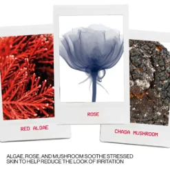 Smashbox Photo Finish Correct Anti Redness Primer Face 15 Smashbox Photo Finish Correct Anti Redness Primer Face