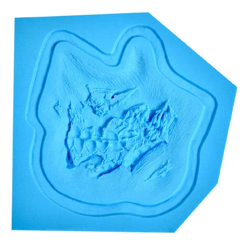 Prosthetic Transfer Material Kits & Tools P.T.M. Hi-Ro Self-Releasing Molds Zombie Cheek With Teeth (Right Side) 1 Prosthetic Transfer Material Kits & Tools P.T.M. Hi-Ro Self-Releasing Molds Zombie Cheek With Teeth (Right Side)