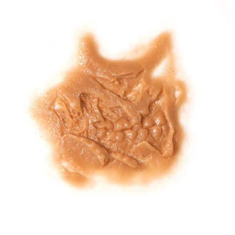 Prosthetic Transfer Material Kits & Tools P.T.M. Hi-Ro Self-Releasing Molds Zombie Cheek With Teeth (Right Side) 2 Prosthetic Transfer Material Kits & Tools P.T.M. Hi-Ro Self-Releasing Molds Zombie Cheek With Teeth (Right Side)