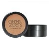 Face Cinema Secrets Ultimate Foundation 300 Series