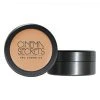 Face Cinema Secrets Ultimate Foundation 400 Series