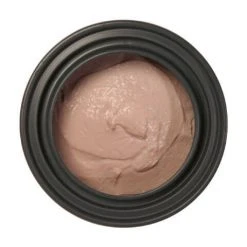 P.T.M. Prosthetic Transfer Material