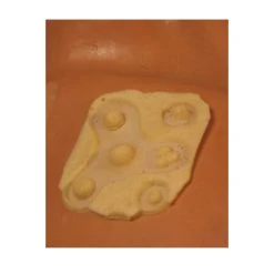 Rubber Wear Warts, Moles, Pimples Foam Late Prosthetic (FRW-042)