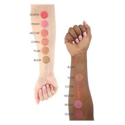 Temptu S/B Blush Airbrush Starter Set 1/4 Oz