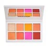 Scott Barnes Chic Cheek N°1 Blush Palette Face